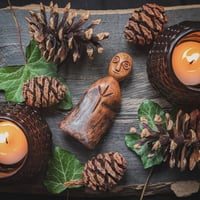 Image 1 of Holloway Oak Kindred Spirit (KS164)