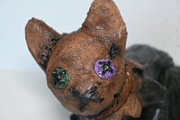 Image 5 of Buttons the Burlap Kitty