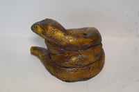 Image 4 of Little Prometheus Latex Snake