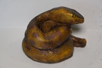 Image 3 of Little Prometheus Latex Snake