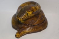 Image 2 of Little Prometheus Latex Snake