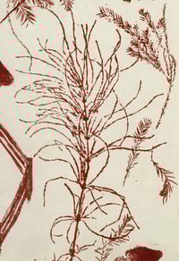 Image 4 of The Dragon at Rest in a Garden (Mei Long)