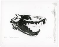 Image 3 of Probelosodon