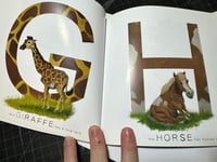 Image 3 of 8x8 inch Alphabet Hardcover Book