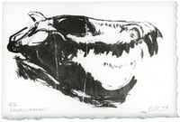 Image 2 of Probelosodon