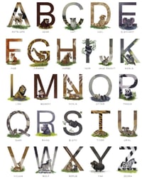 Alphabet Poster