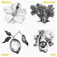 Image 2 of Custom Care Package