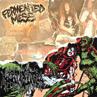 PREORDER: Fermented Mess / Harvester - Split CS