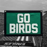Image 1 of GO BIRDS! 🦅