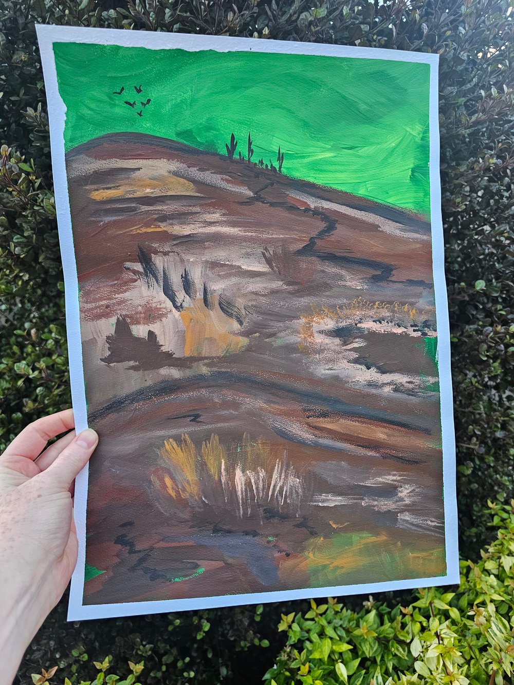 Image of Birds Flying High