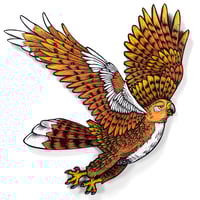 Red-Tailed Hawk Original Woodcut