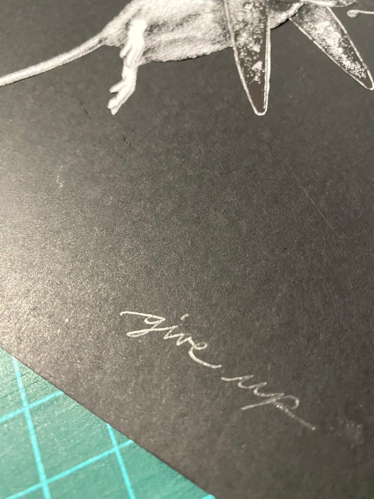 Image of 'no rats' original collage