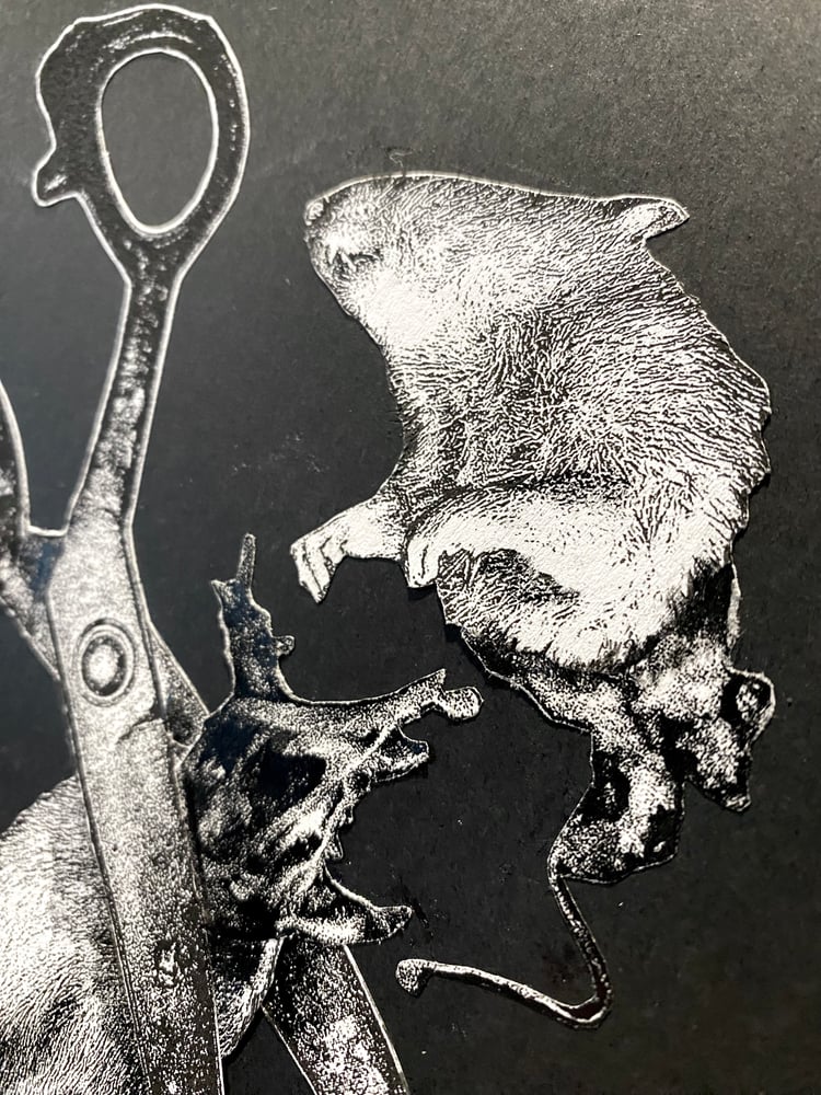 Image of 'no rats' original collage