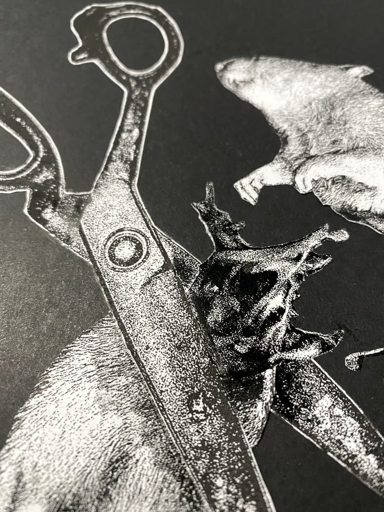 Image of 'no rats' original collage