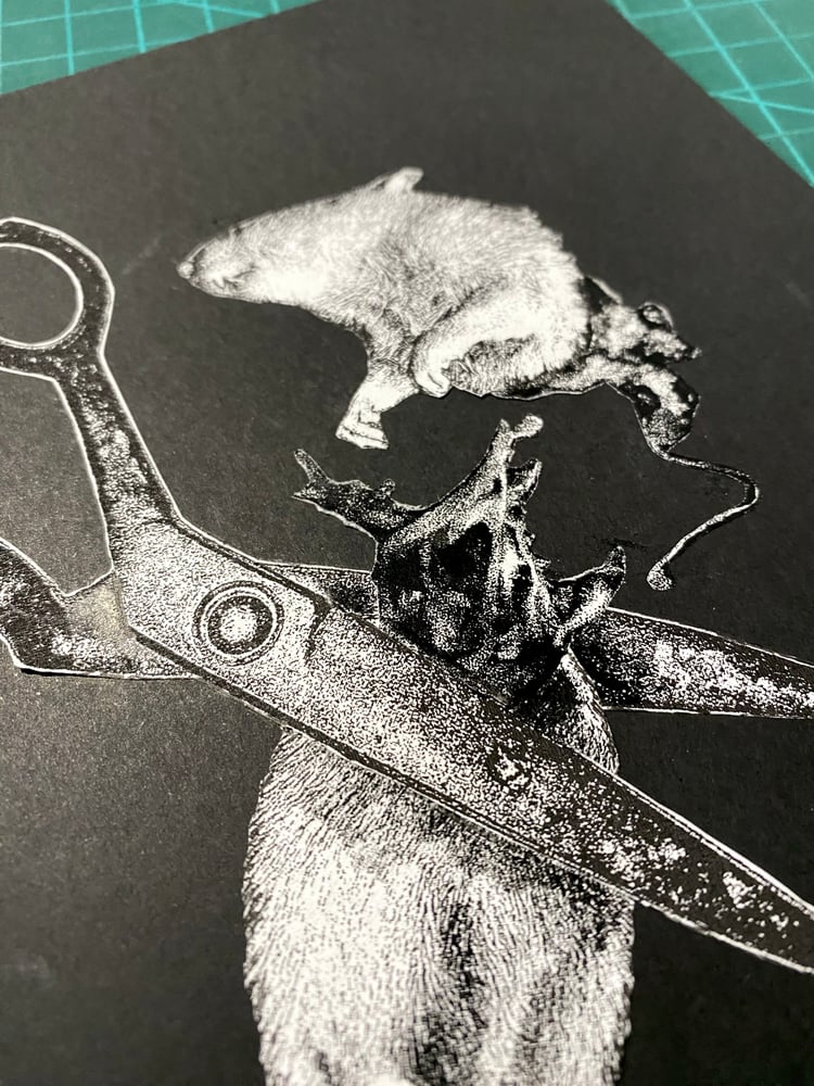 Image of 'no rats' original collage