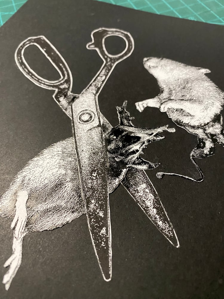 Image of 'no rats' original collage