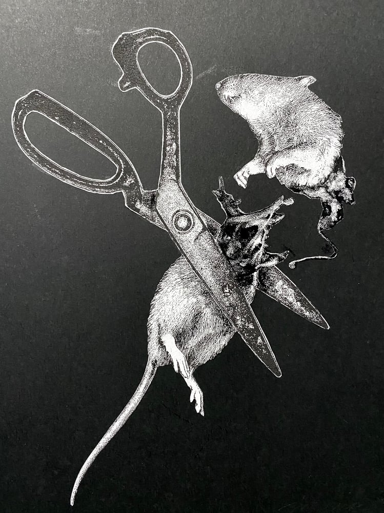 Image of 'no rats' original collage