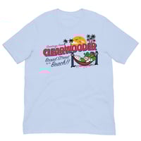 Image 1 of Clearwooder | Baby Blue