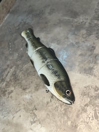 Image 2 of Immortal Trout 7.7 “Bass”