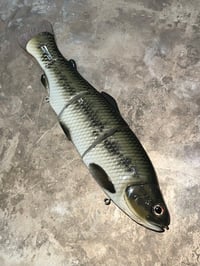 Image 1 of Immortal Trout 7.7 “Bass”