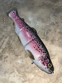 Image 1 of Immortal Trout 7.7 “Pink Vein”