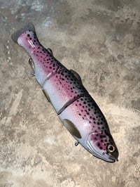 Image 2 of Immortal Trout 7.7 “Pink Vein”