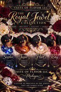 Image 3 of Yorkshire Terrier Deposit 