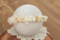 Newborn/Sitter Halo 300