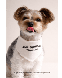 Image 1 of BANDANA | Los Angeles