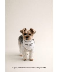 Image 2 of BANDANA | Los Angeles