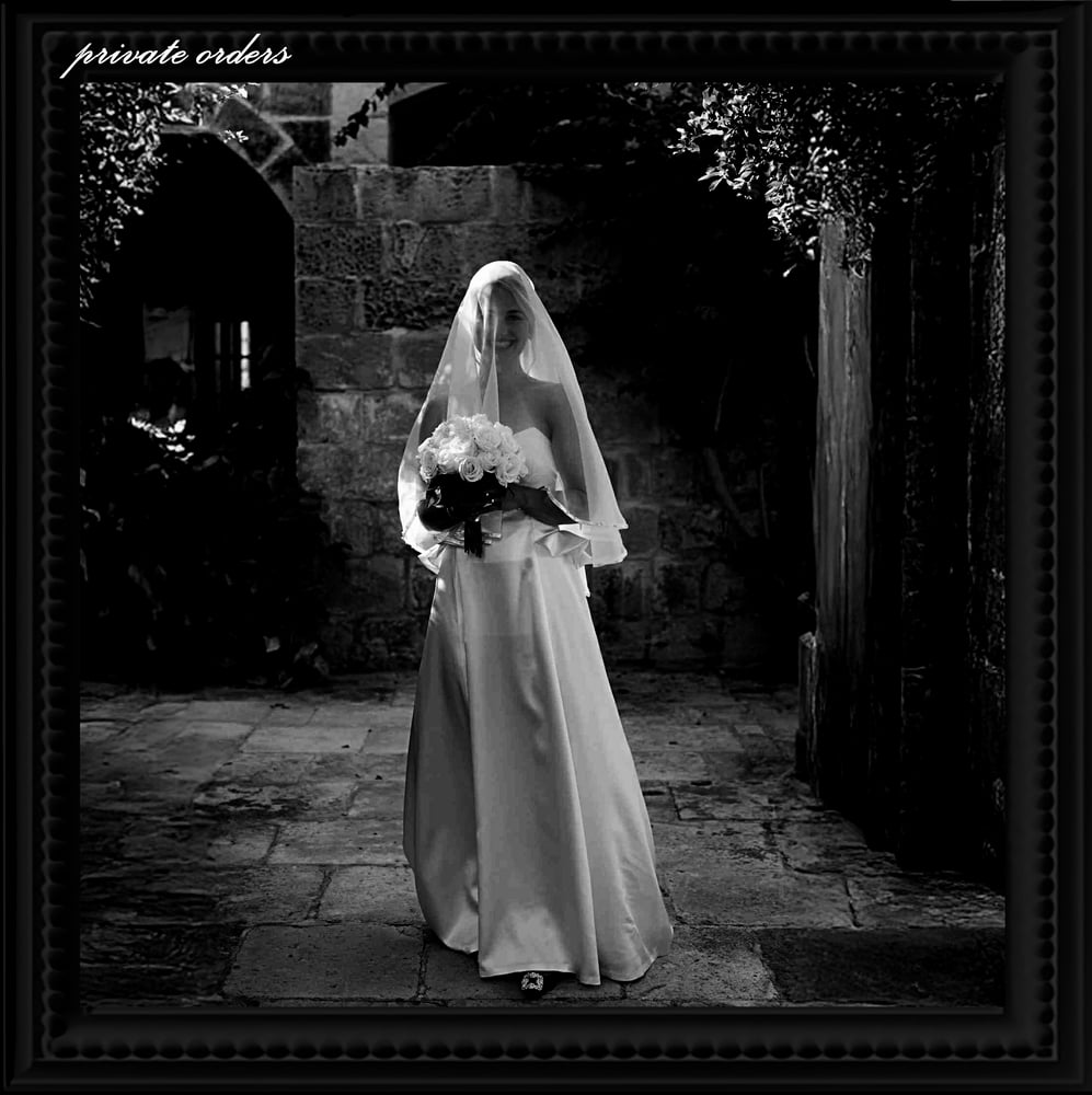 Image of THE PRIVATE ORDERS.