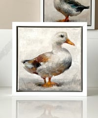 Image 1 of WHITE DUCK