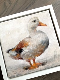 Image 3 of WHITE DUCK