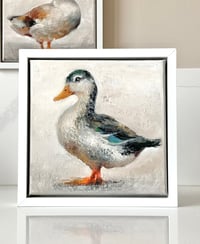 Image 1 of MALLARD DUCK