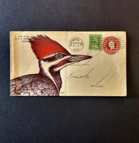 SPECIAL: Pileated woodpecker on 1932 envelope