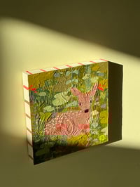 Image 2 of Baby Deer