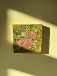 Image 1 of Baby Deer