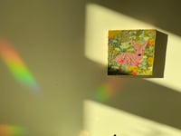 Image 5 of Baby Deer