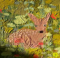 Image 3 of Baby Deer