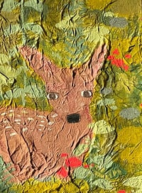 Image 4 of Baby Deer