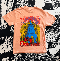 Image 1 of DESTROY YOUR ILLUSIONS (PEACHY SHORT SLEEVE)