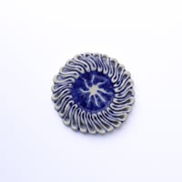 Image 1 of Havi PETERSON | Petite Étoile