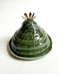 Image 2 of Jade Butter Cloche with Brass Crocus Topper