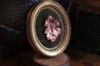 Image 1 of Cornice 1 in legno intagliato con spilla foglia di quercia in rame e retro in stile dark botanico 