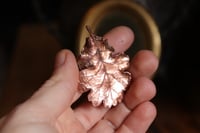 Image 4 of Cornice 3 in legno dorato con spilla foglia di quercia in rame e retro dark botanico