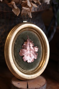 Image 2 of Cornice 3 in legno dorato con spilla foglia di quercia in rame e retro dark botanico