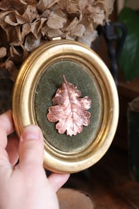 Image 5 of Cornice 3 in legno dorato con spilla foglia di quercia in rame e retro dark botanico