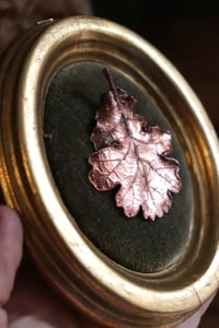 Image 1 of Cornice 3 in legno dorato con spilla foglia di quercia in rame e retro dark botanico