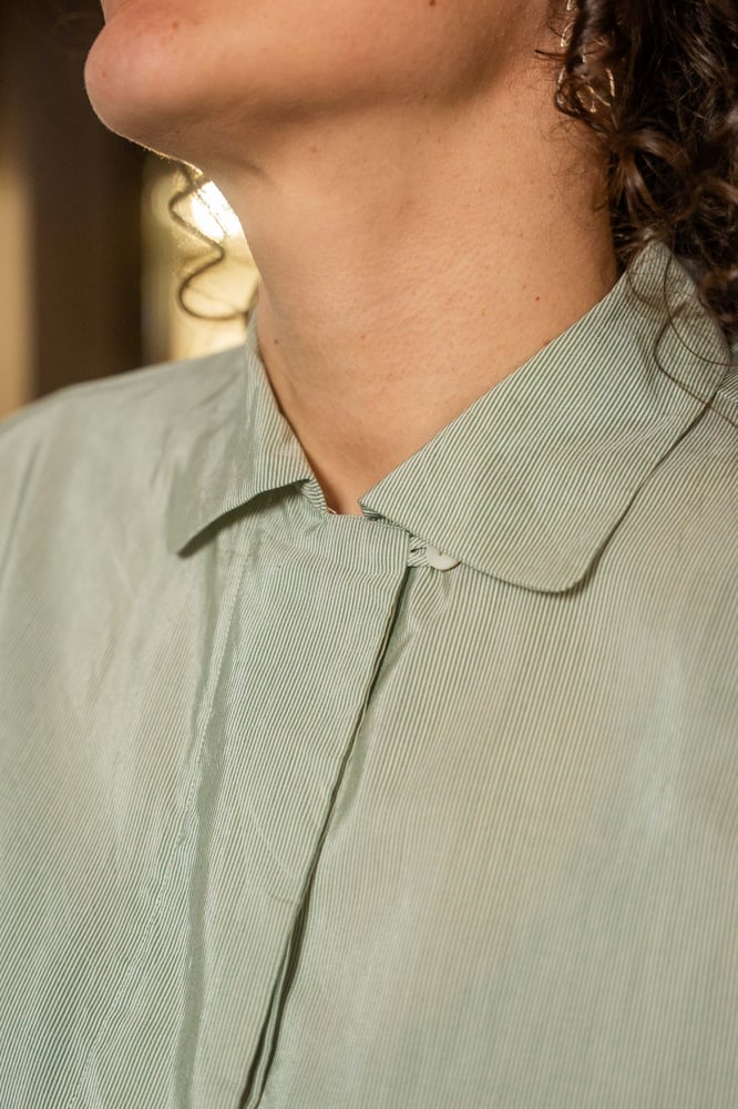 Image of Camicia microriga