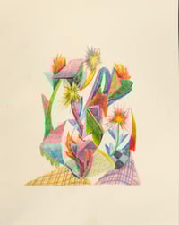 Image 1 of Internal Spring 15x18" drawing (Framed)